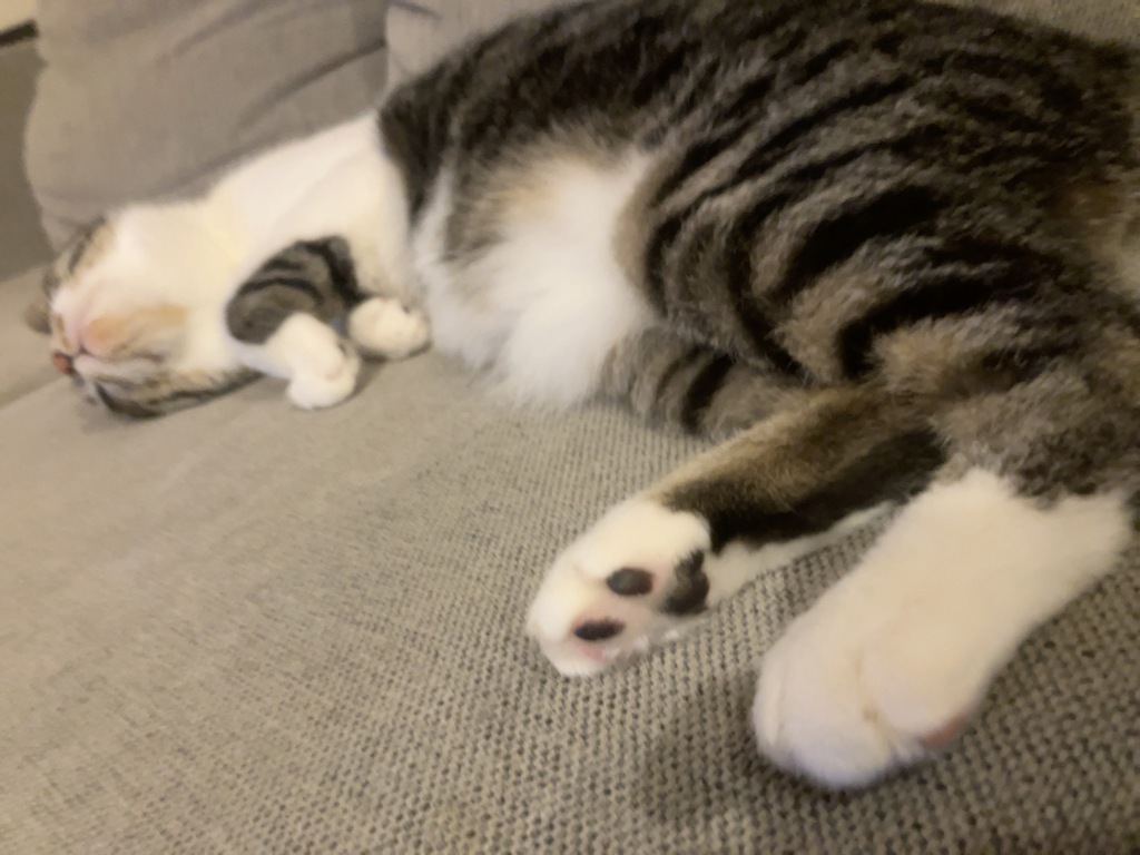 手はそこなの