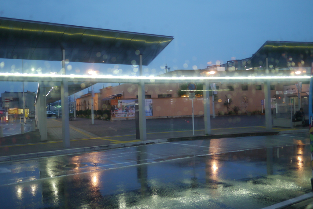 雨の駅