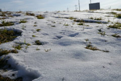 残り雪