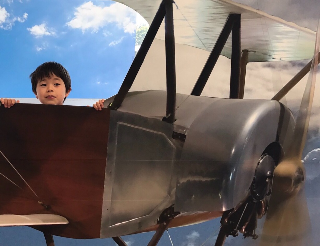 大空を舞う