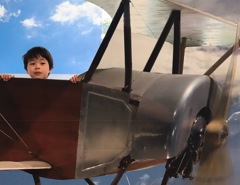 大空を舞う