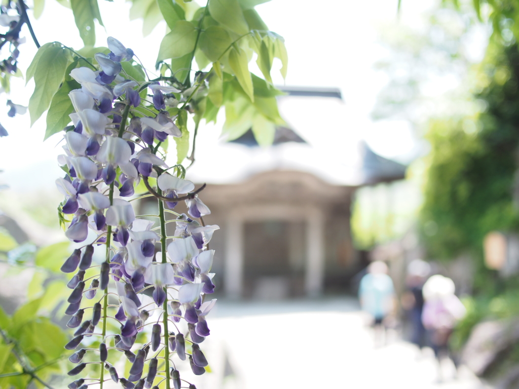 山寺にて