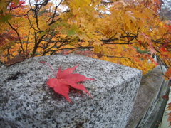 古峯神社にて