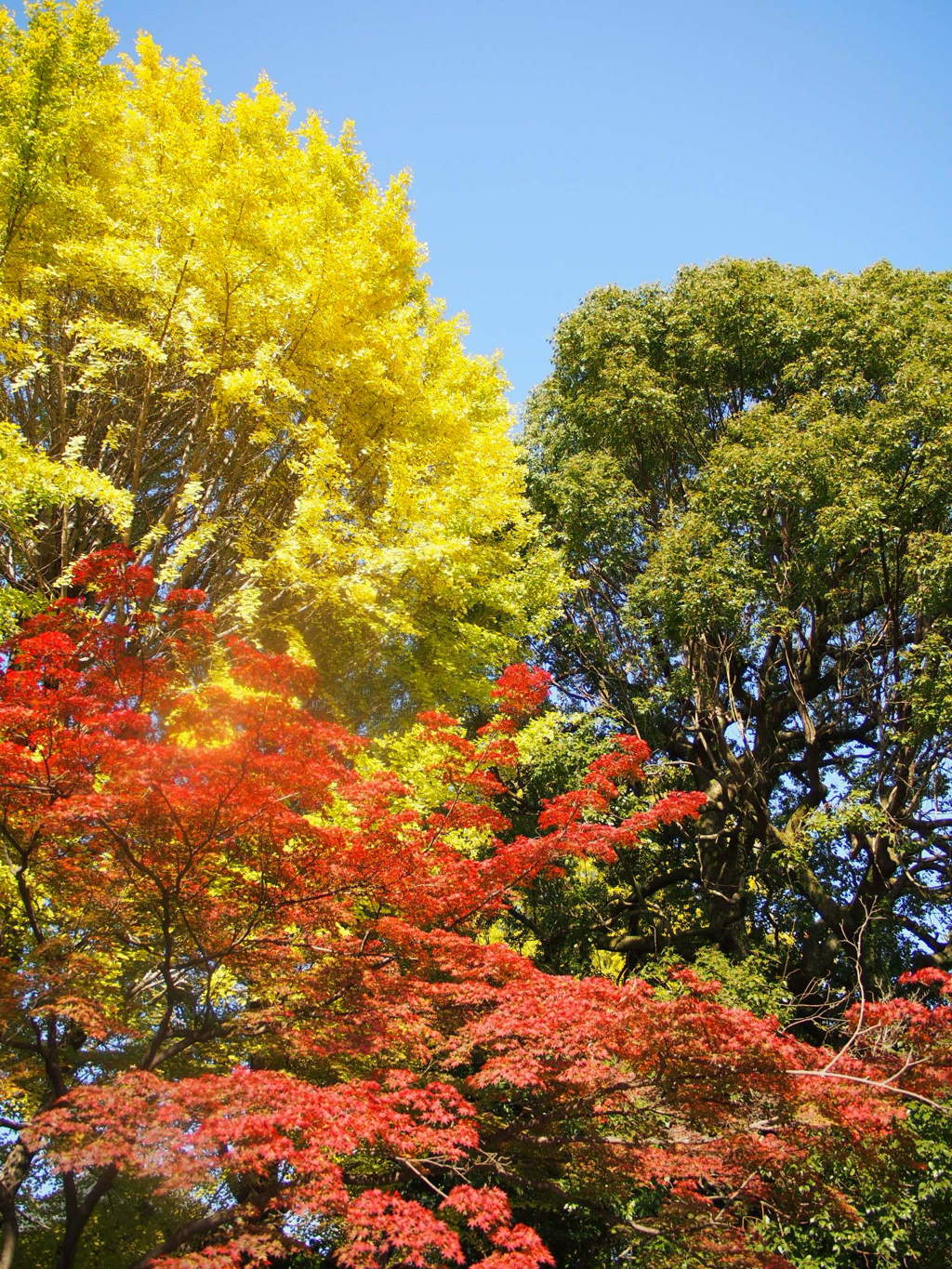 Three colors