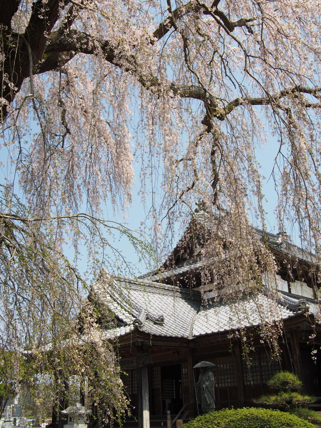 阿弥陀寺にて