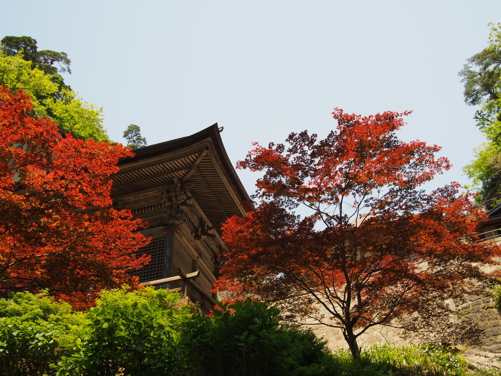 山寺にて