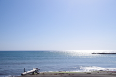 流木