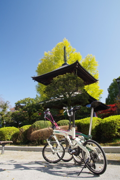 鑁阿寺2