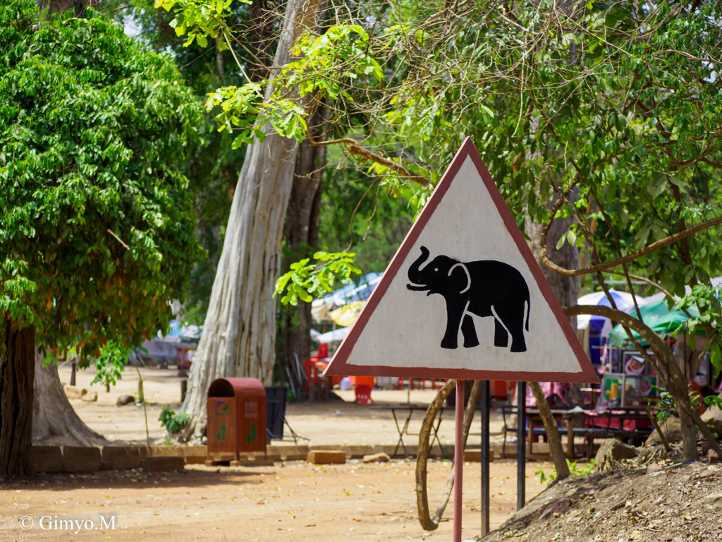 SiemReap Cambodia