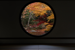 悟りの窓