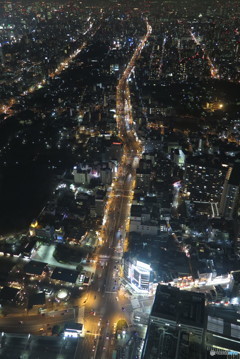 ハルカスからの夜景①