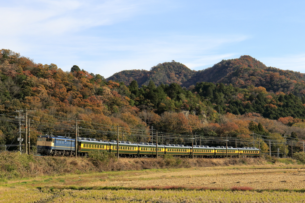 紅葉の山々を背に