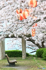 桜咲く公園