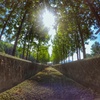 公園
