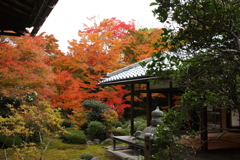 源光庵②
