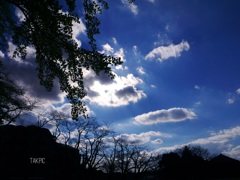 雲と青のコントラスト