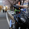 自分のバイクが一番！