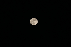 IMG_4004