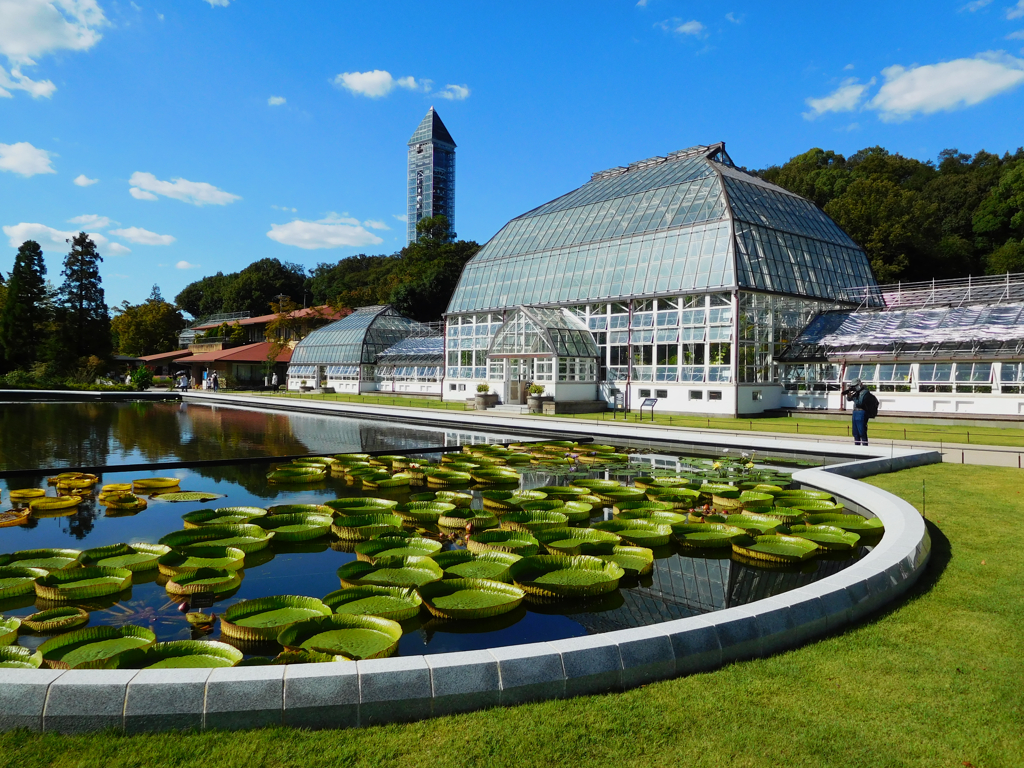 東山植物園