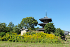 奈良 法起寺