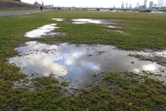 雨上がりの朝