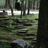 萬葉植物園　小道