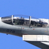 ２０１６年岐阜基地航空祭