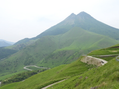 緑由布岳