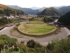 黄昏棚田