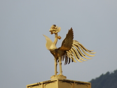 黄金鳳凰