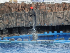 ナイスタッチ