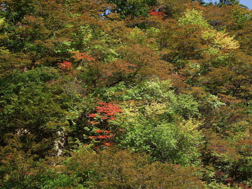 色々