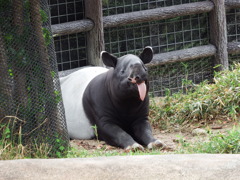 エヘッ