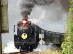 懐かしのD51