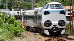 バイバイパンダ