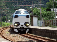 フロントパンダ