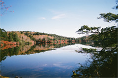 山中の湖