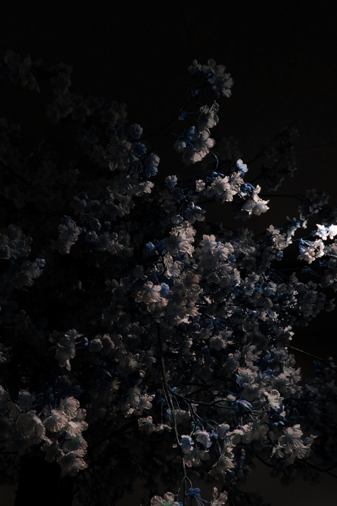 造花です。。３