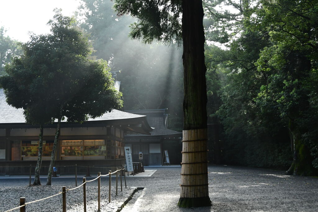伊勢神宮　外宮　光沢