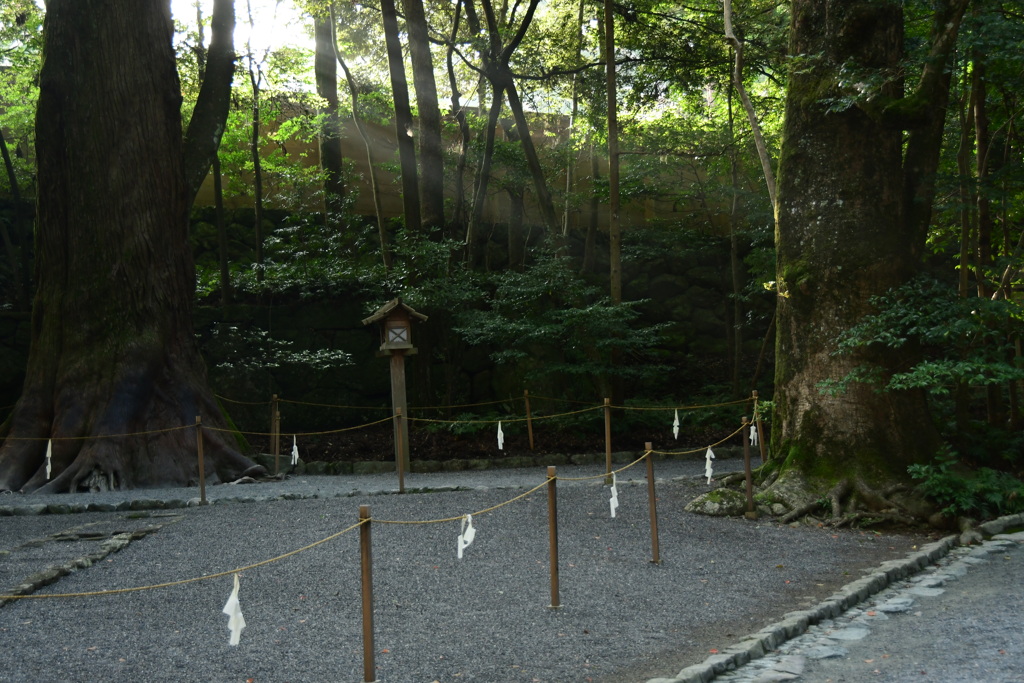 伊勢神宮　内宮　光彩