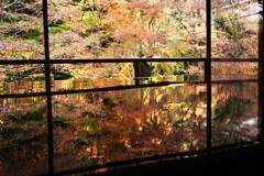 京都　瑠璃光院　紅葉