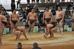 伊勢神宮奉納相撲