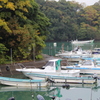 秋の浜