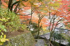 長谷寺と紅葉