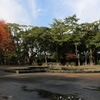 秋の津城