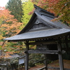 泰運寺　紅葉