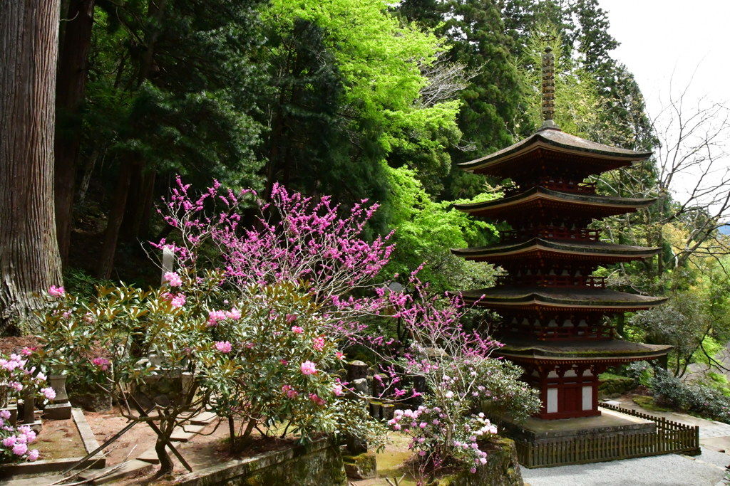 五重塔と風景