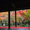 京都　圓光寺　紅葉