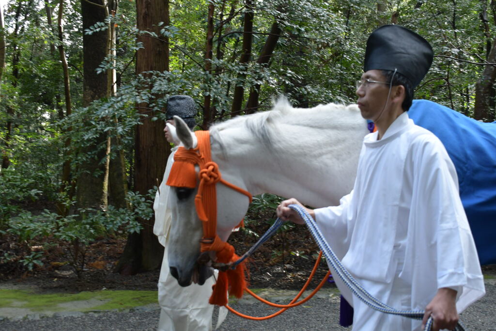 伊勢神宮　外宮　神馬