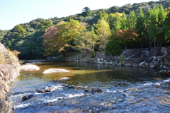 秋の五十鈴川